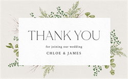 designer image 55055