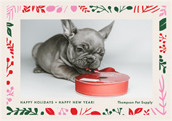 designer image 55745