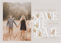 designer image 56066