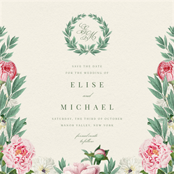 designer image 58806