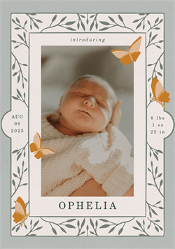 designer image 59685