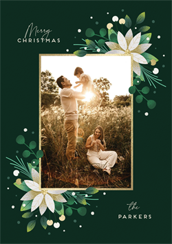 designer image 60337