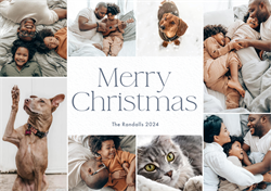 designer image 60611