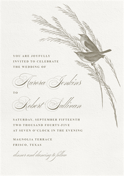 designer image 62835