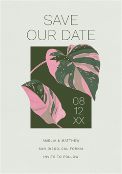 designer image 65839