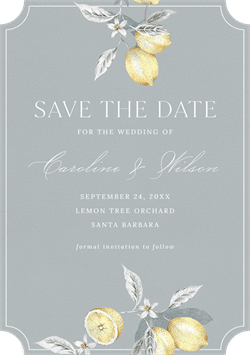 designer image 66321