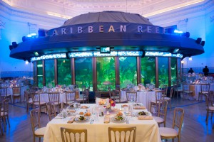 Greenvelope invitations for Chicago wedding at Shedd Aquarium