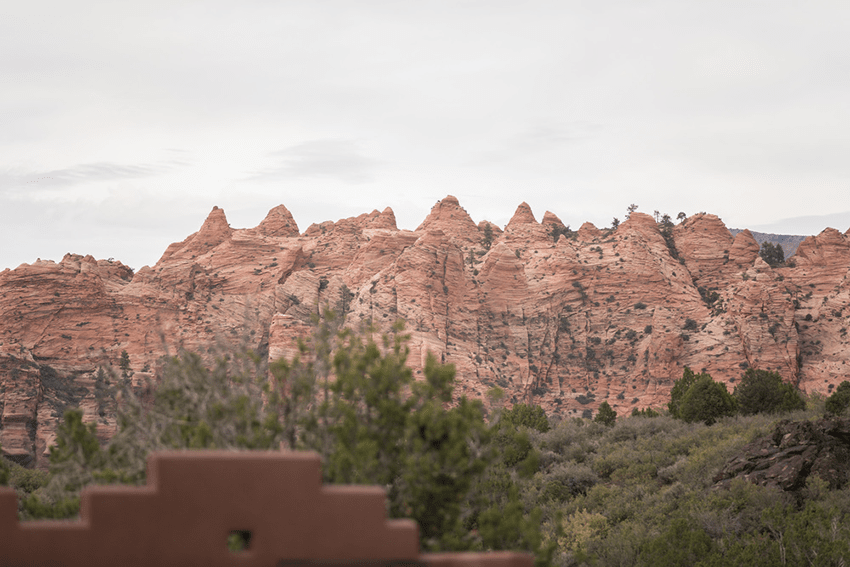 Fieldofbubblywedding+(180+of+508)