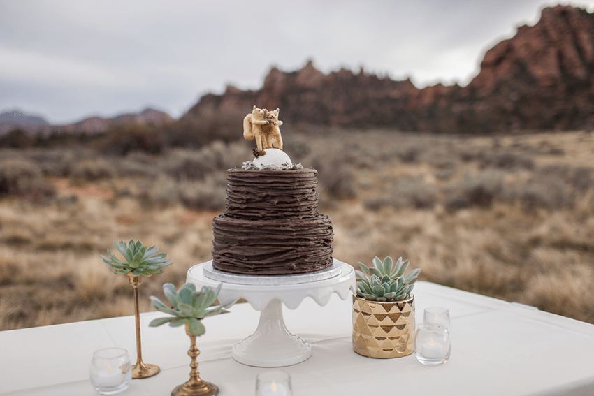 Fieldofbubblywedding+(225+of+508)