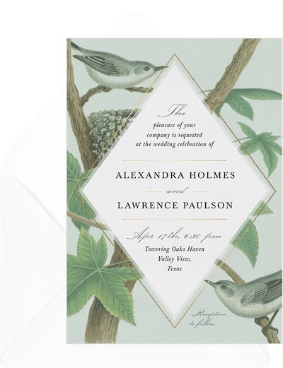 Birds of a Feather Invitation