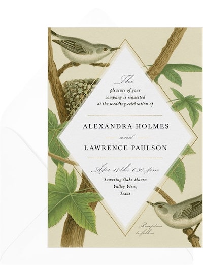 Birds of a Feather Invitation