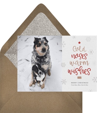 Pet holiday cards: Cold Noses Warm Wishes Card