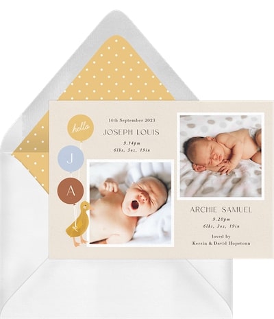 Duckling Twins Announcement