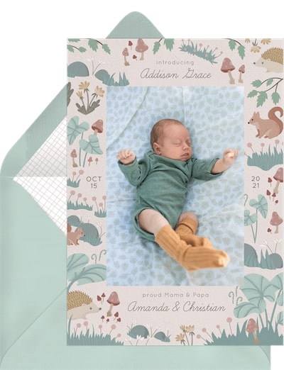 Enchanted Woodland Announcement