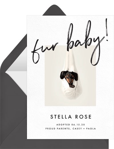 Adoption party ideas: Fur Baby Announcement
