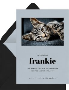 Our New Addition Announcement