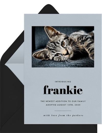 Our New Addition Announcement