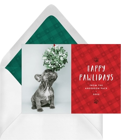 Pet holiday cards: Paws & Plaid Card