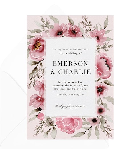 Watercolor Anemone Announcement