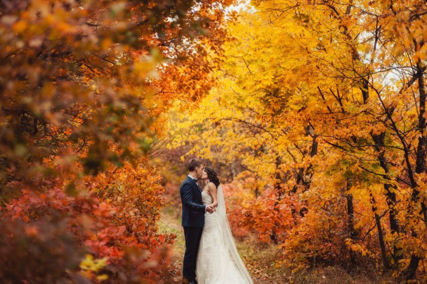 fall wedding invitations: couple kissing between trees