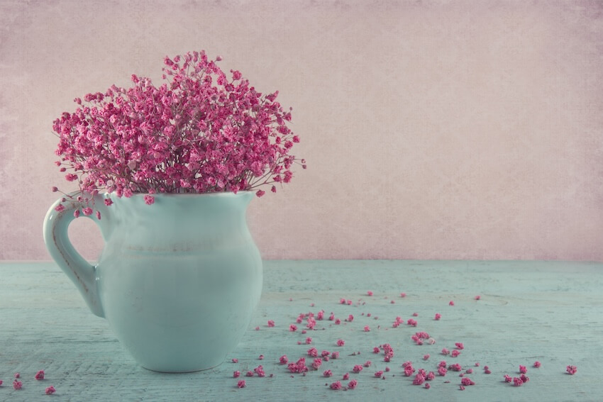 Mother’s day decorations: dried pink flowers in a pitcher vase