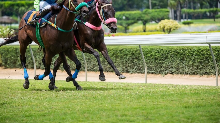 Kentucky Derby themed party: horses running on a track