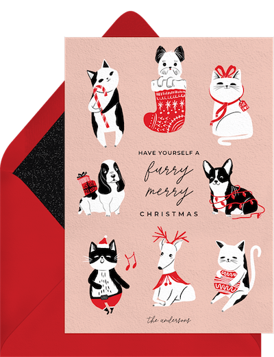 Christmas gift card: Festive fur babies card