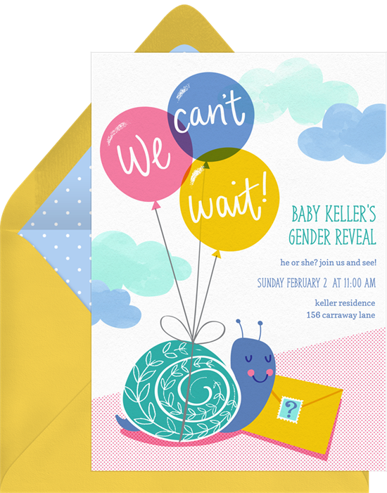 Gender Reveal Invitations That Will Have You Seeing Blue And Pink 